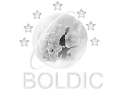  “Boldic – open learning resources online” project